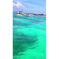 唯美短视频104