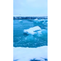 唯美短视频107