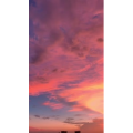 唯美短视频113