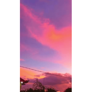 唯美短视频117