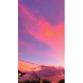唯美短视频117