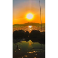 唯美短视频121