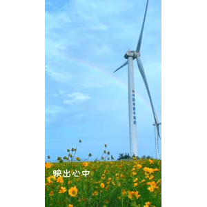 唯美短视频148