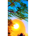 唯美短视频157