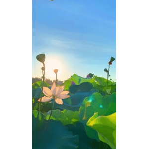 唯美短视频162