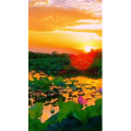 唯美短视频183