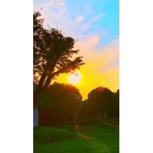 唯美短视频193