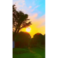 唯美短视频193