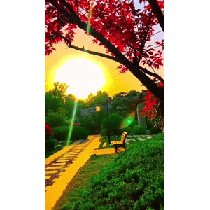 唯美短视频195