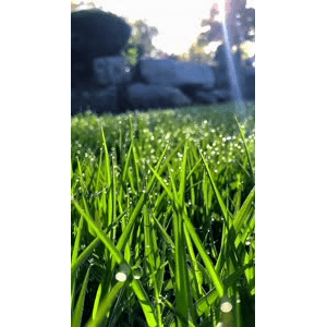 唯美短视频203