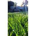 唯美短视频203