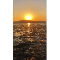 唯美短视频207