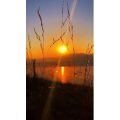 唯美短视频218