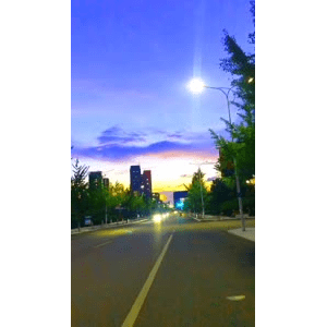 唯美短视频220