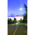 唯美短视频220