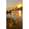 唯美短视频224