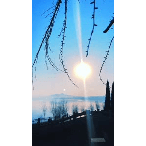 唯美短视频227