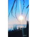 唯美短视频227
