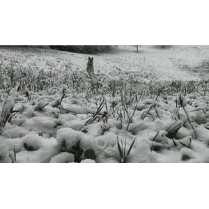 53816_雪景细节14