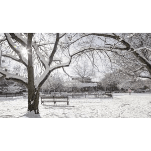 雪景中的城市28
