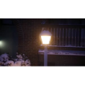 雪景中的城市55
