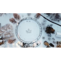 雪景中的城市63