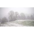 雪景中的城市64