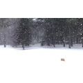 雪景中的城市72