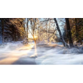 雪景中的自然景色3