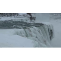 雪景中的自然景色8