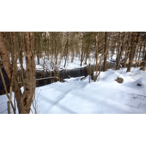 雪景中的自然景色16