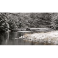 雪景中的自然景色26
