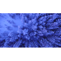 雪景中的自然景色67