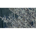 雪景中的自然景色72