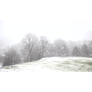 雪景中的自然景色74