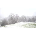 雪景中的自然景色74
