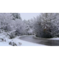 雪景中的自然景色56