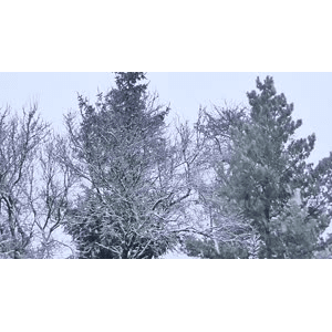 雪景中的自然景色65