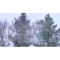 雪景中的自然景色65
