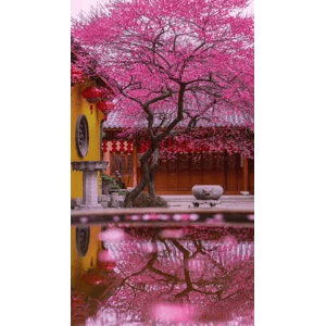 治愈系风景4