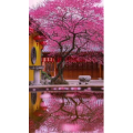 治愈系风景4