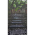 治愈系风景6