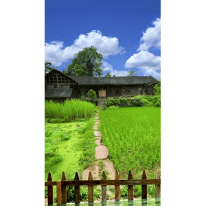 治愈系风景14