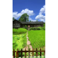 治愈系风景14