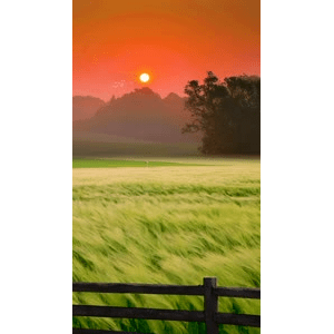 治愈系风景19