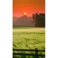 治愈系风景19