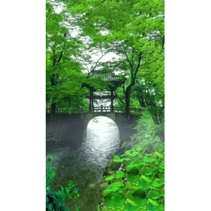 治愈系风景20