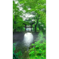 治愈系风景20