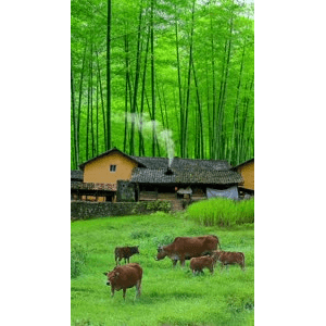治愈系风景23