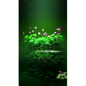 治愈系风景26